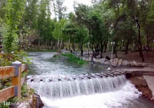 پارک جنگلی در مشهد,پارک جنگلی وکیل آباد در مشهد